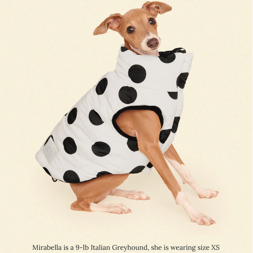 The Betty Puffer Jacket - Black & White - Fluffy Collective