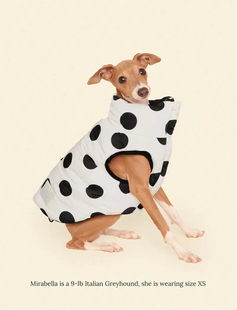 The Betty Puffer Jacket - Black & White - Fluffy Collective