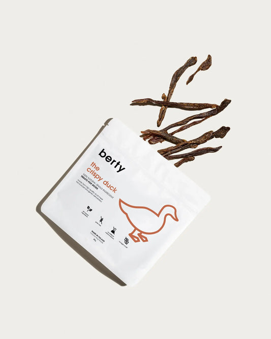 The Crispy Duck BERTY