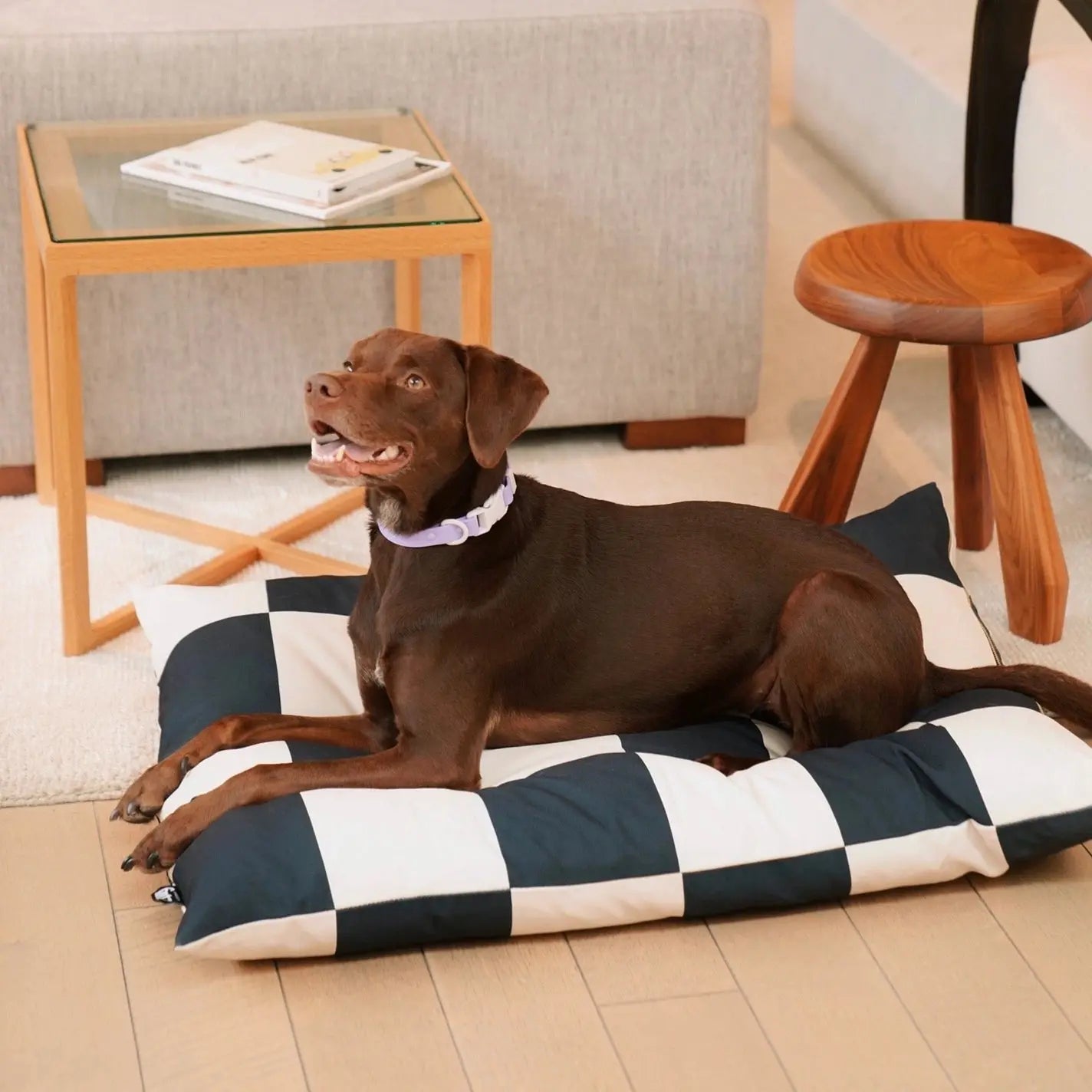 The Fritz Bed APPROVED BY FRITZ