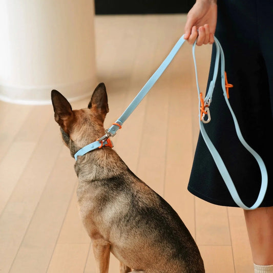 The Fritz Leash Baby Blue Orange - Fluffy Collective