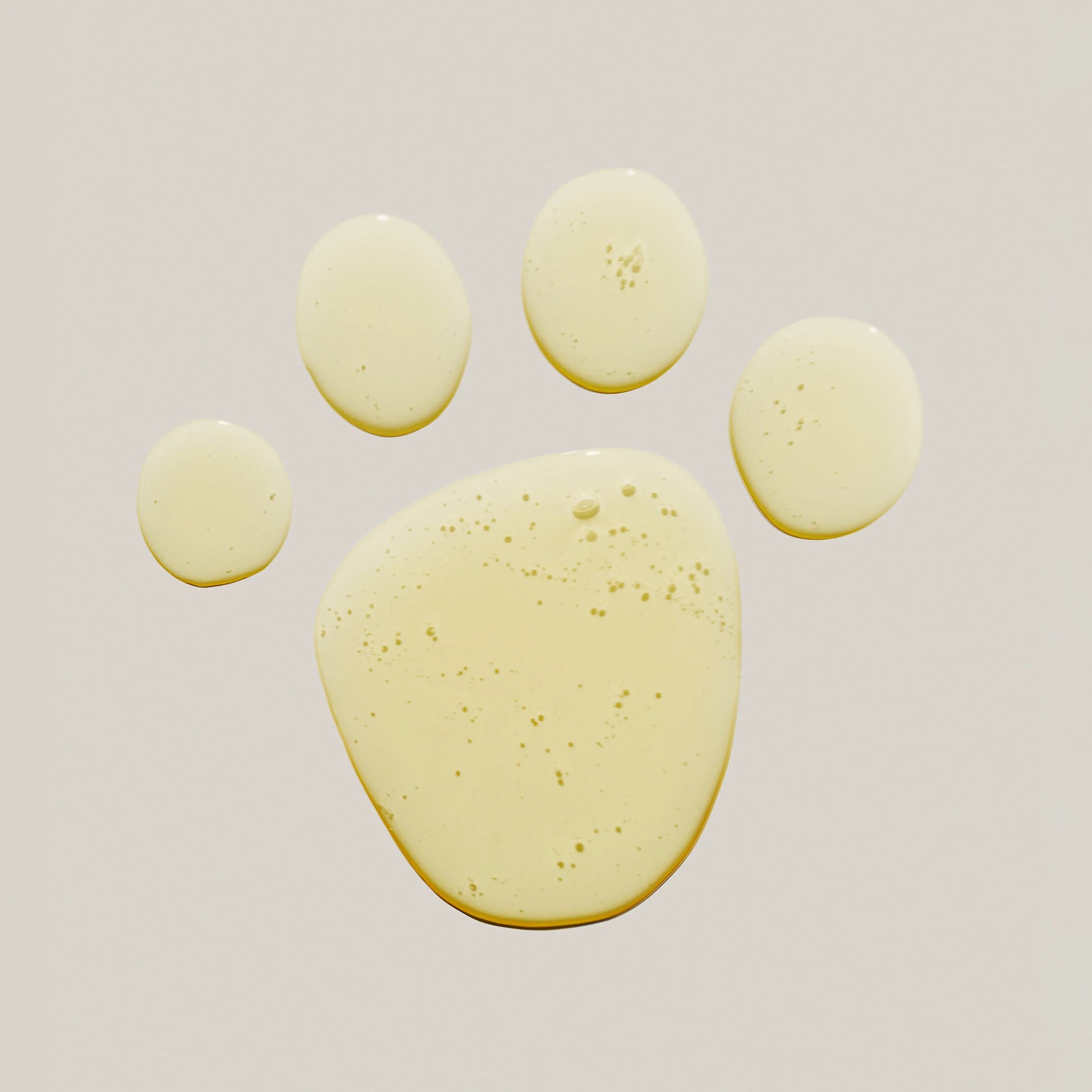 The Shampoo - Fluffy Collective
