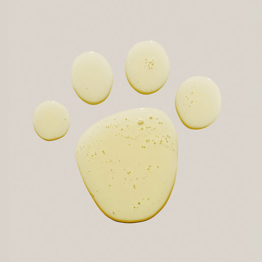 The Shampoo - Fluffy Collective