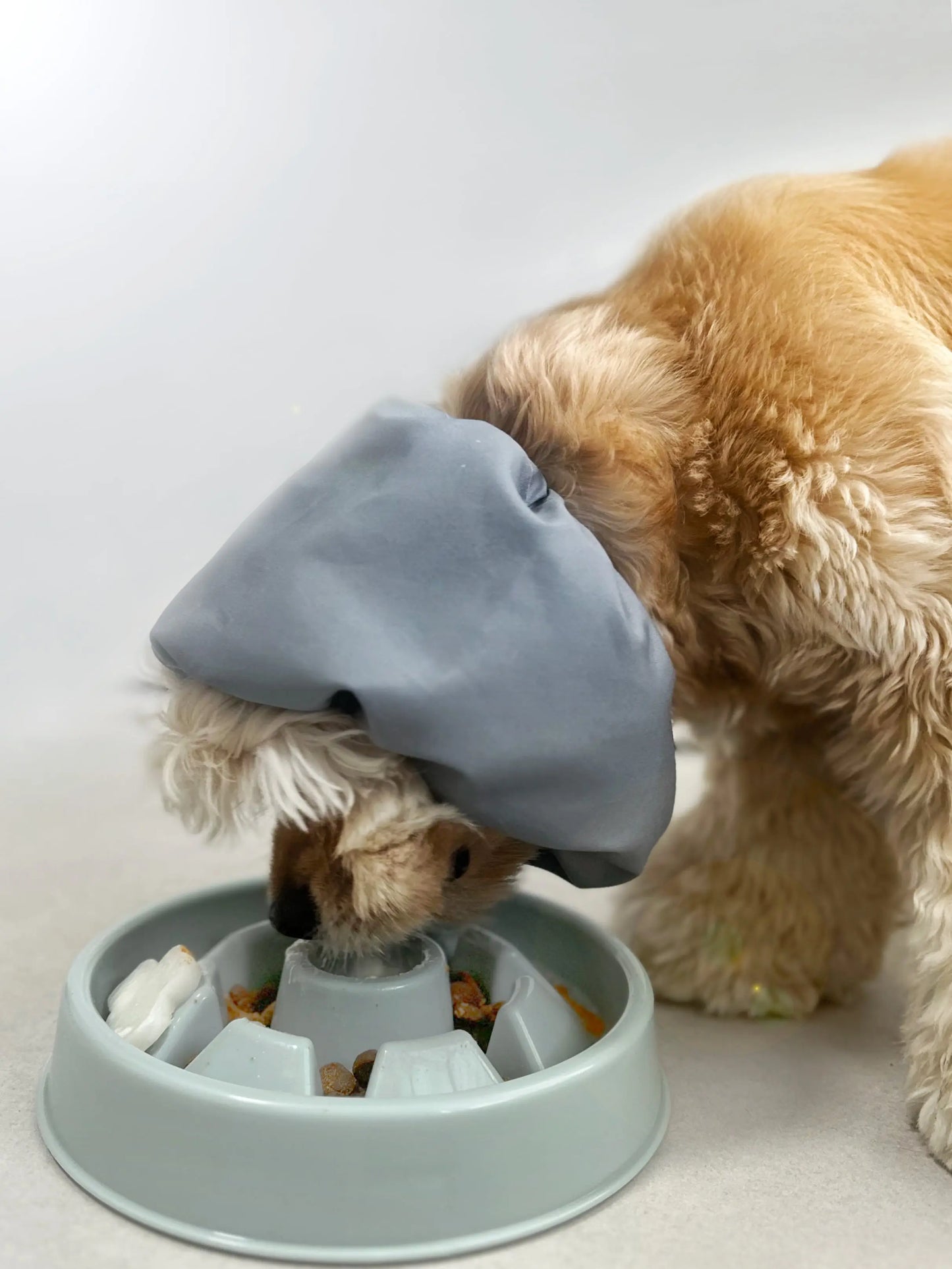 Water-Resistant Dog Snood - OH DOGGOU