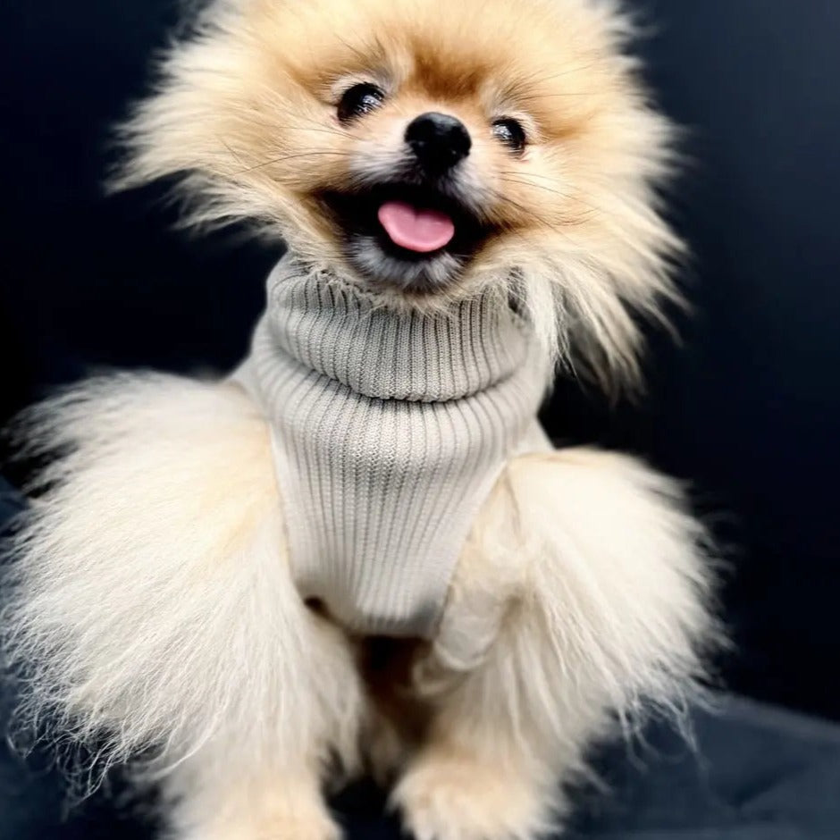 Sweater Limo OMNIAGIOIA