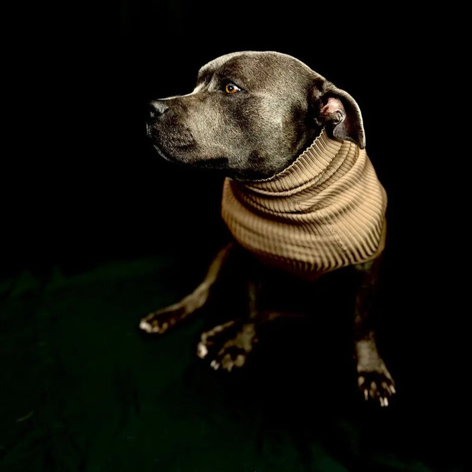 Dog Sweater OMNIAGIOIA
