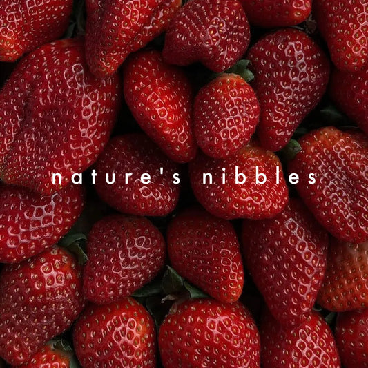 nature-s-nibbles-strawberries - Fluffy Collective