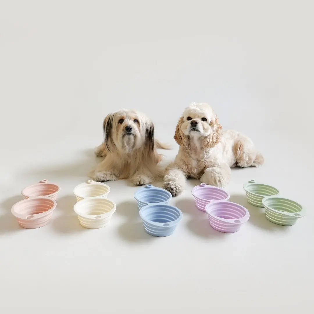 ALLÈE-SEOUL - Fluffy Collective