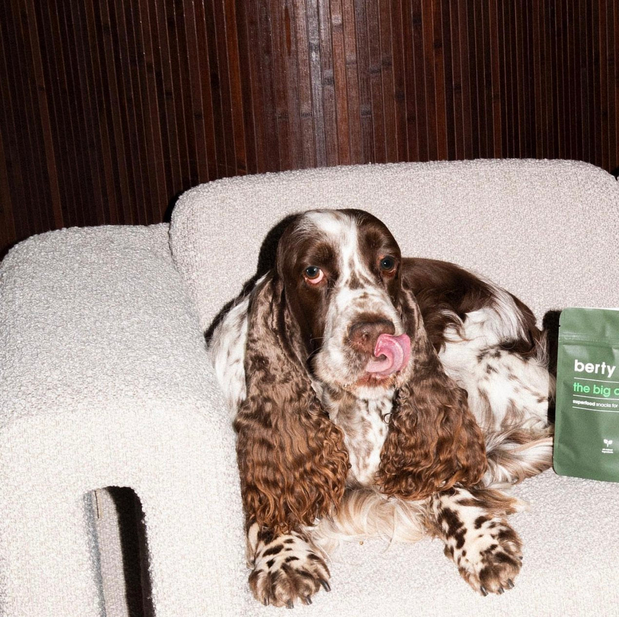 BERTY Fluffy Collective