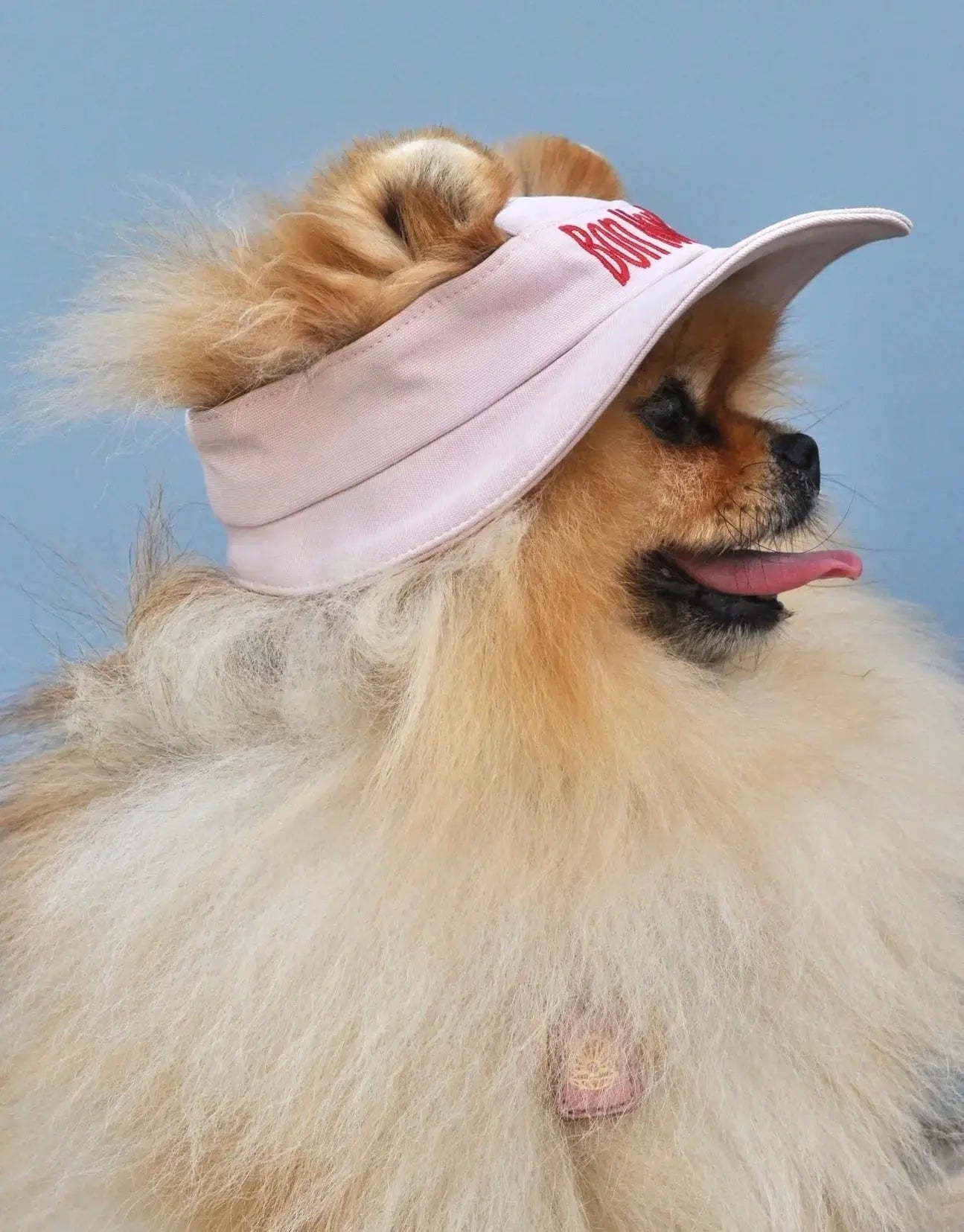 Bon Monkee dog tennis hat – sun-protective dog hats in beige and pink