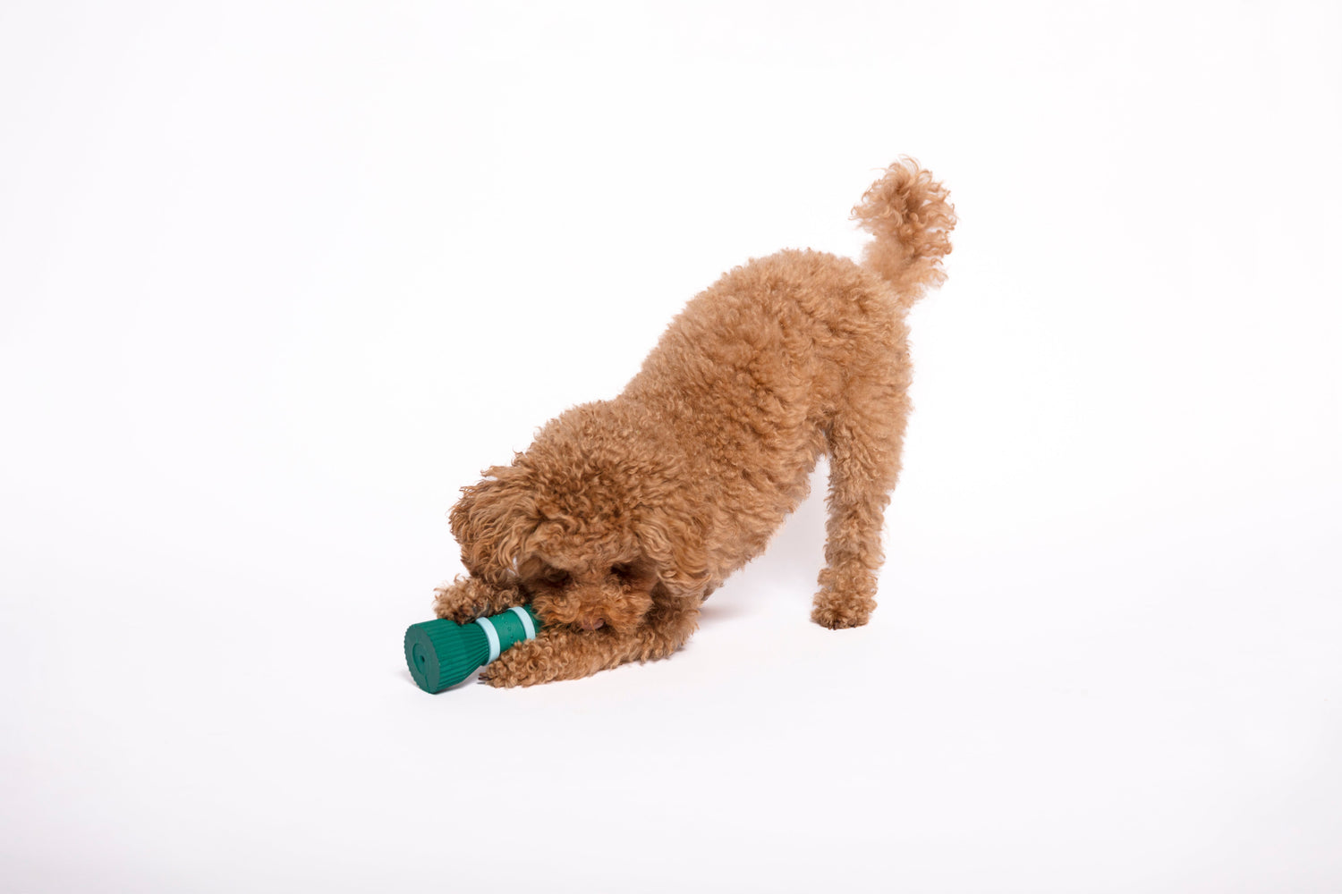 FURMEY Fluffy Collective