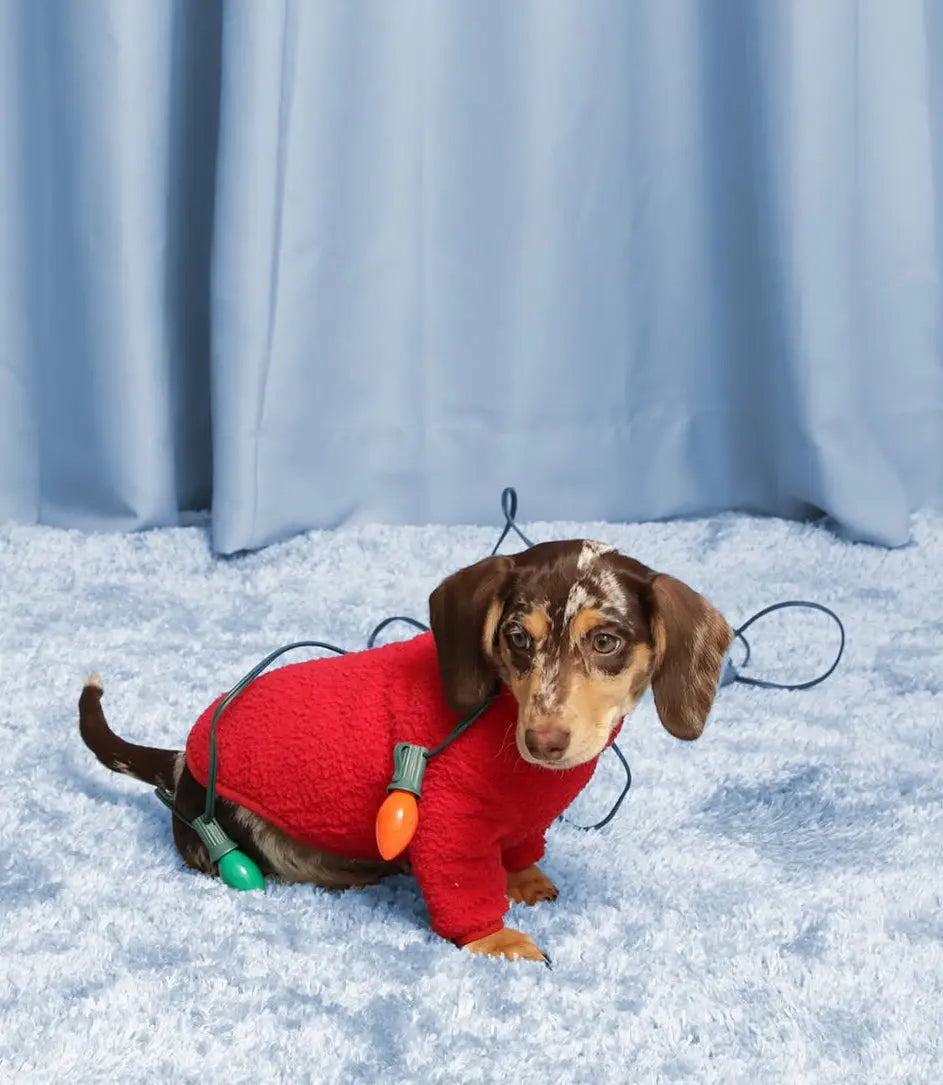 LITTLE-BEAST - Fluffy Collective