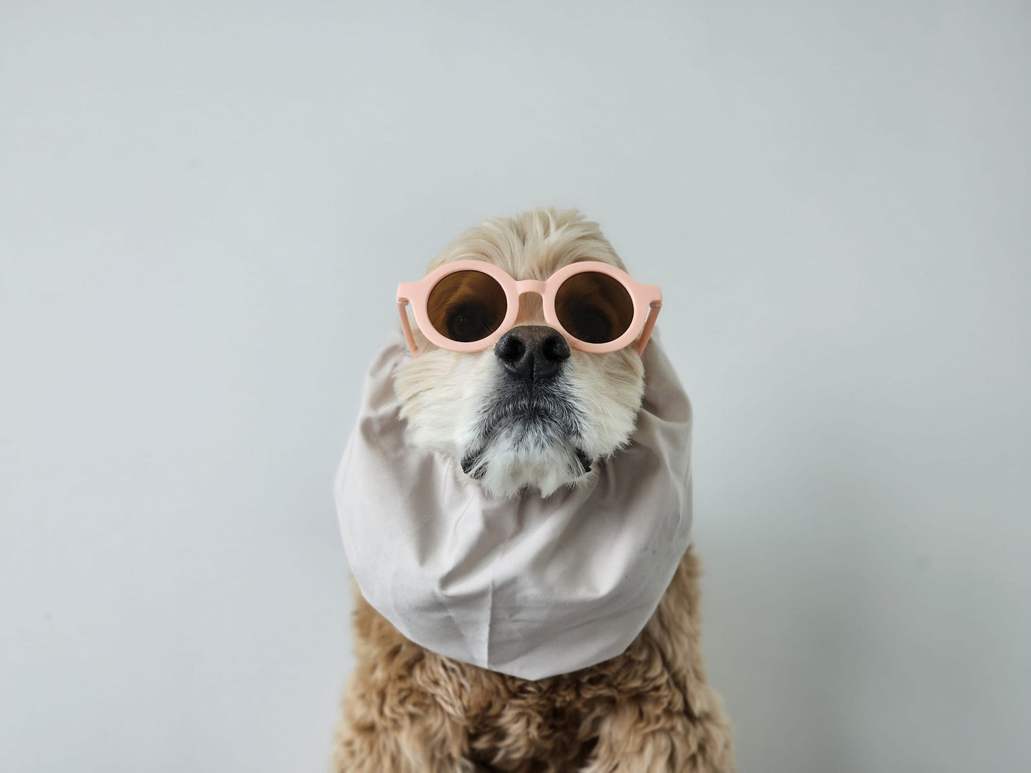 OH DOGGOU - Fluffy Collective