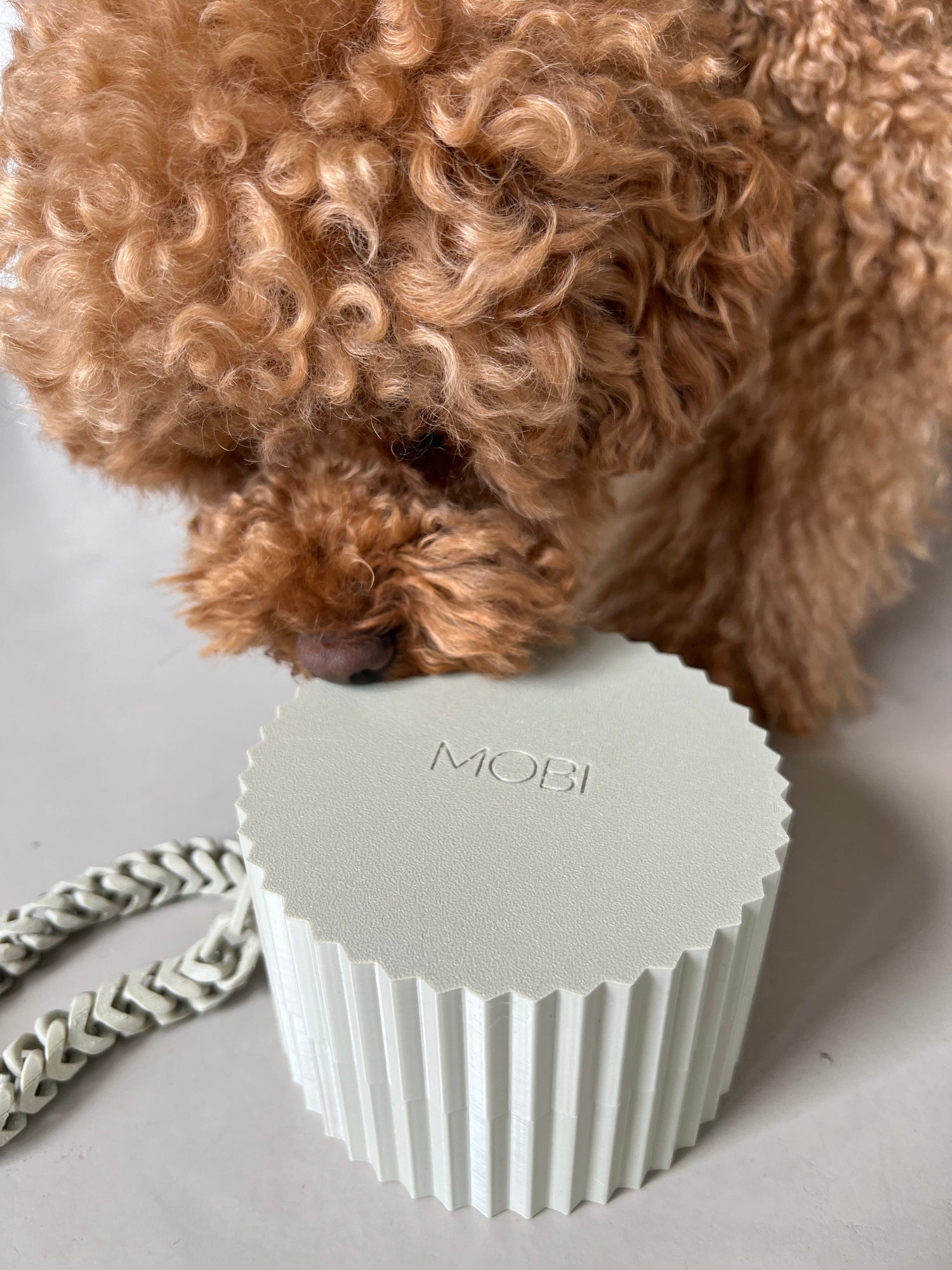 OMNIAGIOIA Fluffy Collective