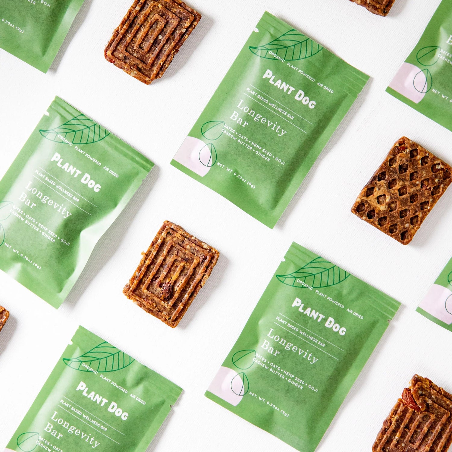 PLANT DOG Fluffy Collective