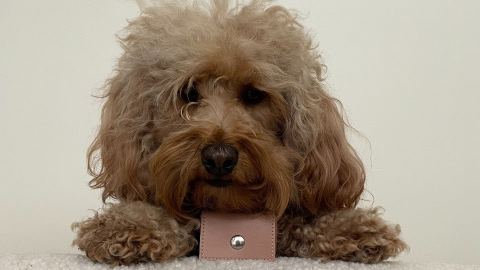 SKYLOS COLLECTIVE Fluffy Collective