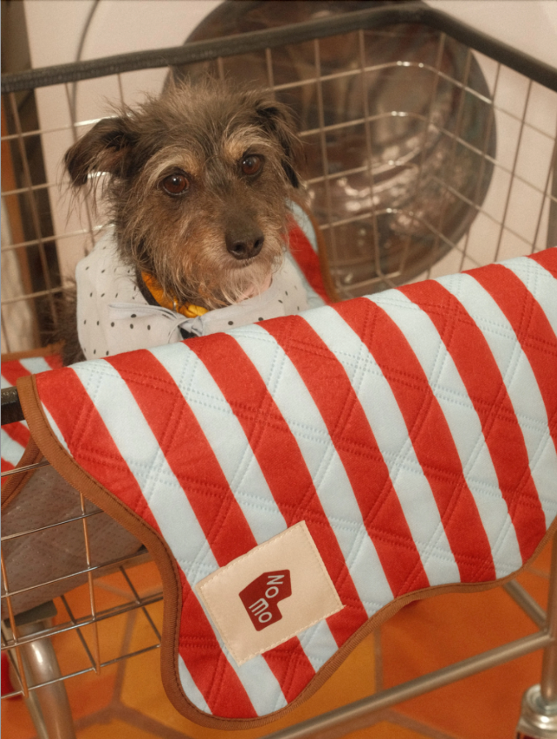 Ellie Pad reusable washable dog seat cover by NomoHaus with red and white striped design and dog sitting on top