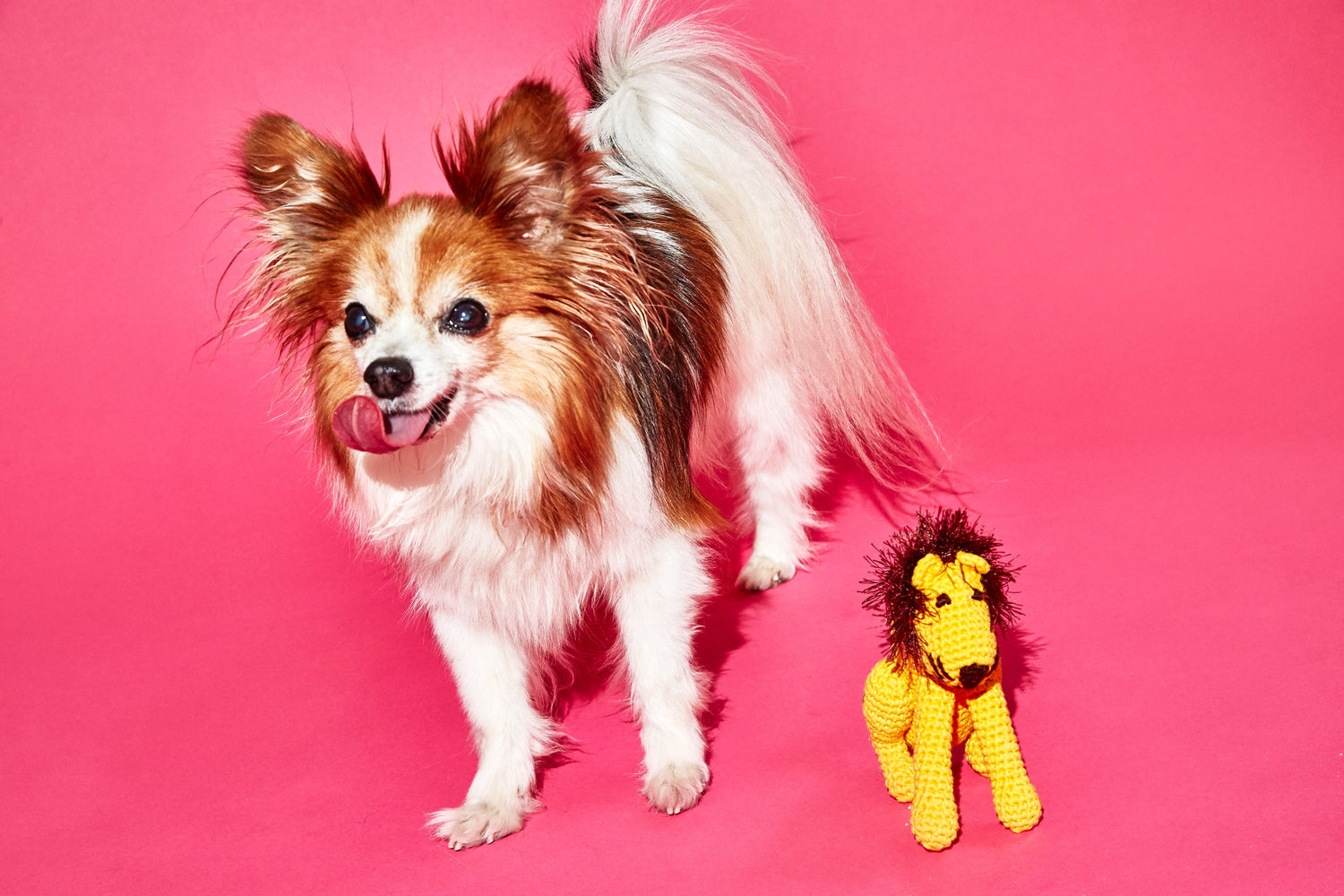 WARE OF THE DOG Fluffy Collective