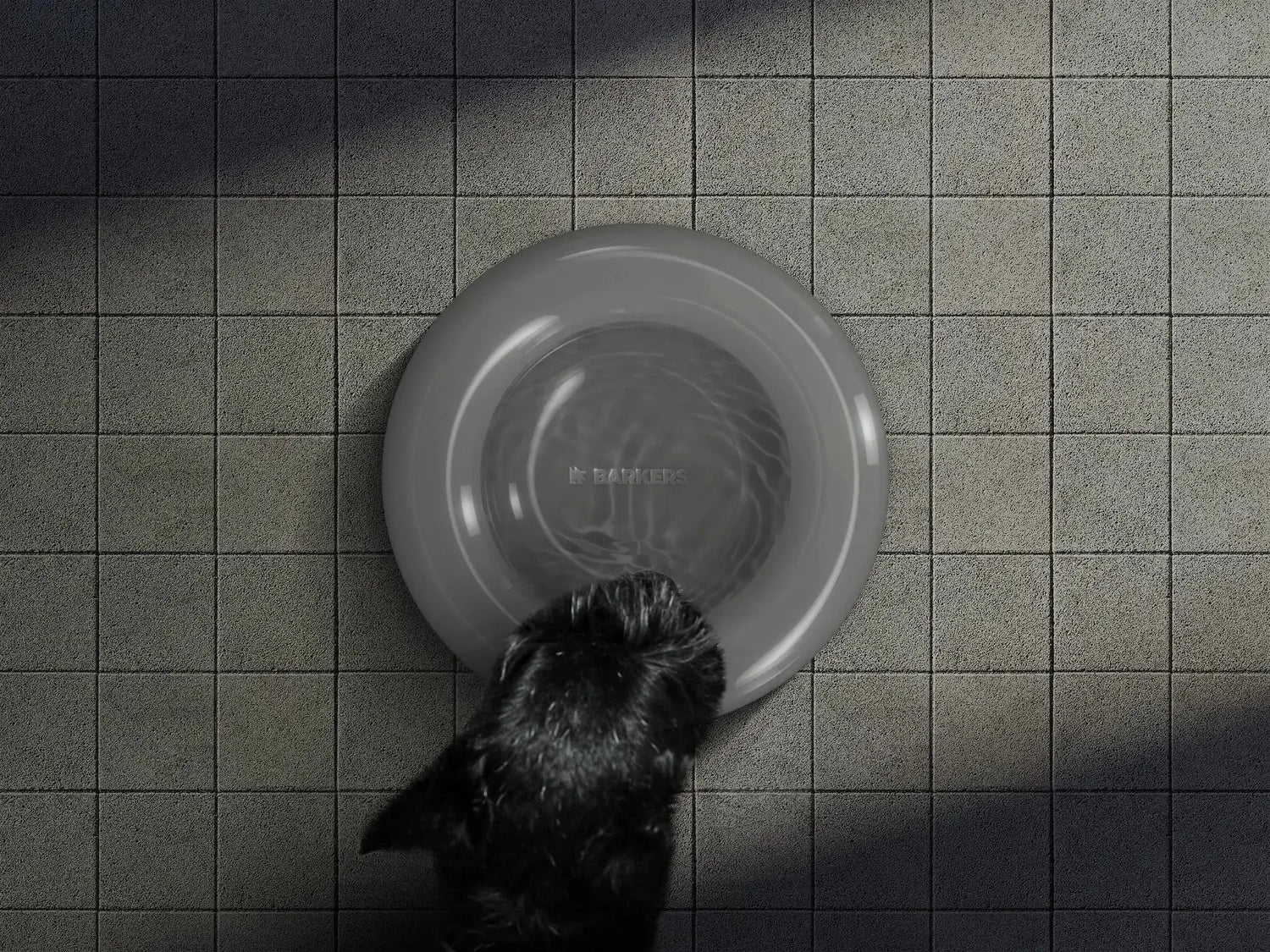 feeding-favorites-dog-bowls-and-feeding-tools - Fluffy Collective