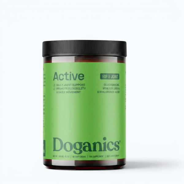 Doganics Active Hip & Joint Supplement – green-labeled jar of beef liver flavored soft chews with glucosamine, MSM, collagen, and hyaluronic acid, product shot
