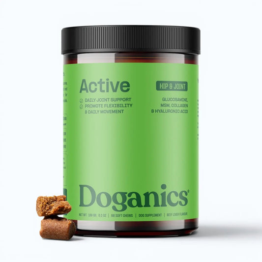 Doganics Active Hip & Joint Supplement – jar shown with two stacked soft chews in front, product shot
