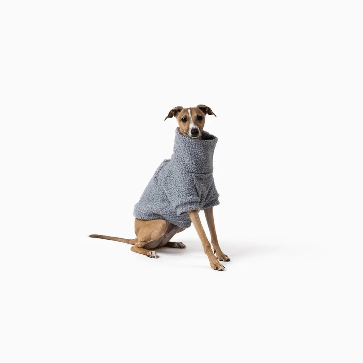 Archie Teddy Jumper MISTER WOOF