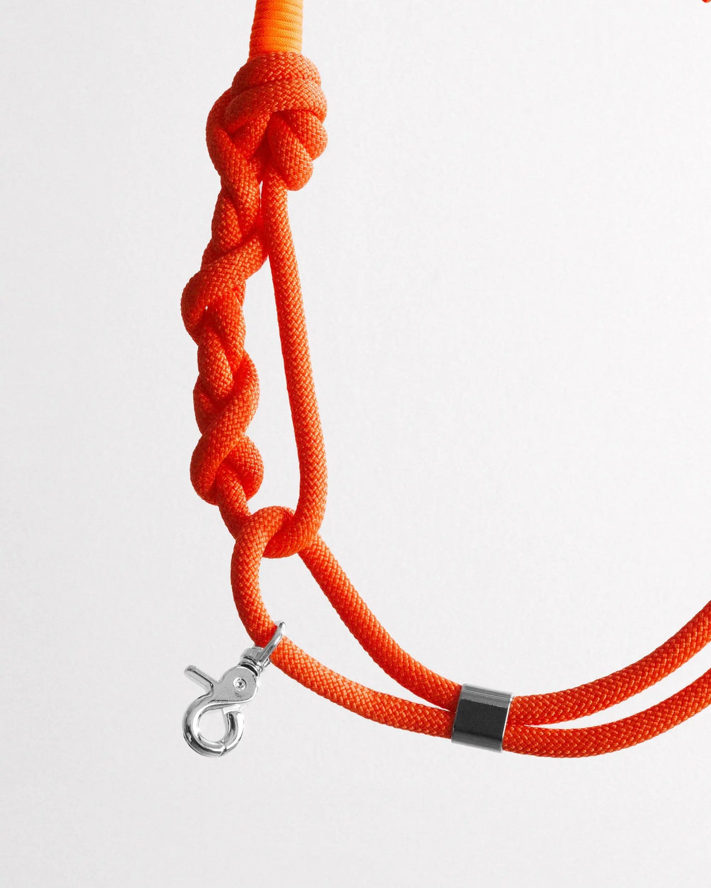 BOLD Leash Juicy - Fluffy Collective