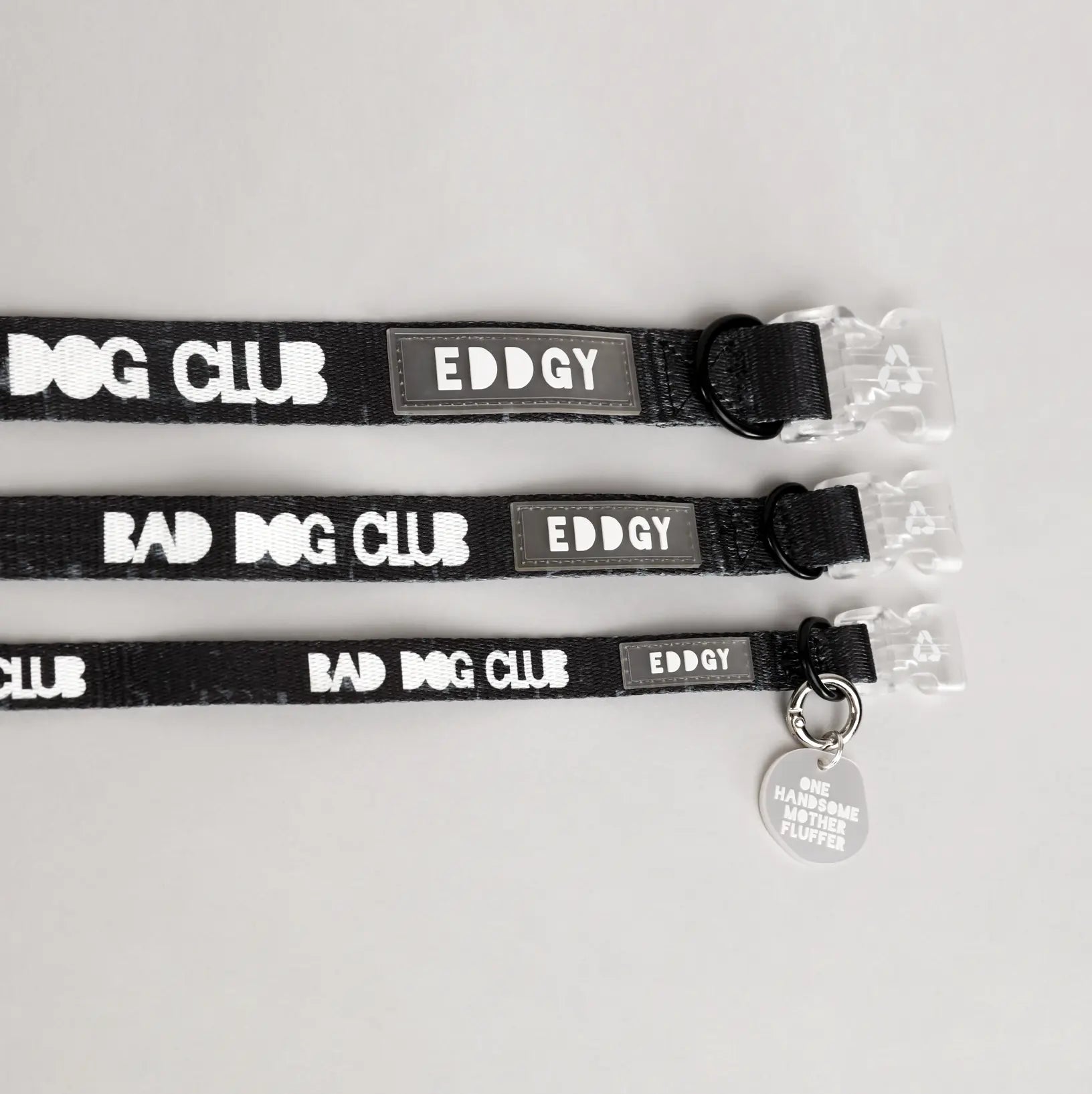 Bad Dog Club Collar EDDGY