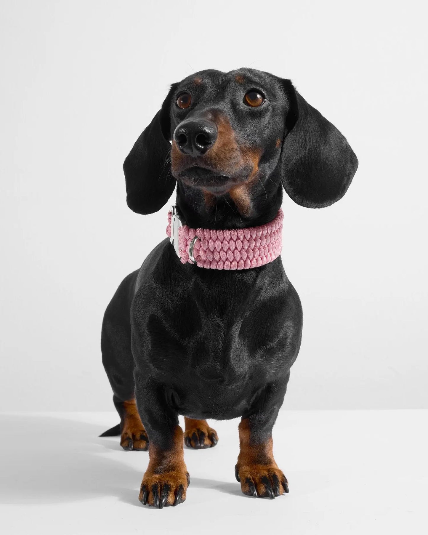 Bespoke Bubblegum Pink Dog Collar - Fluffy Collective
