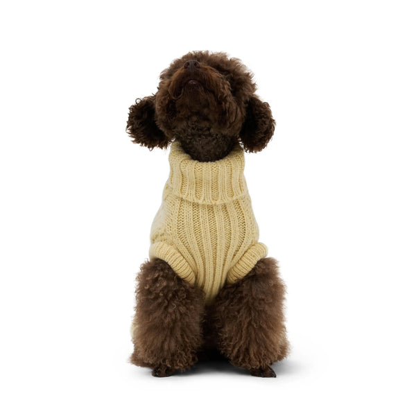 Bold Cleo Yellow Jumper - Fluffy Collective