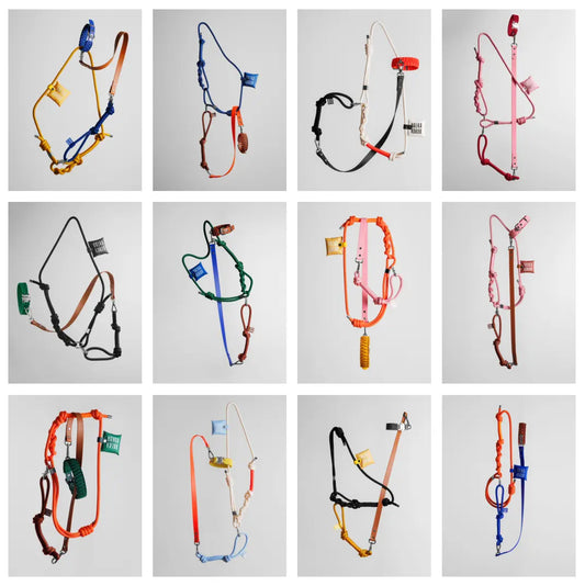 Bold Leash Set - Fluffy Collective