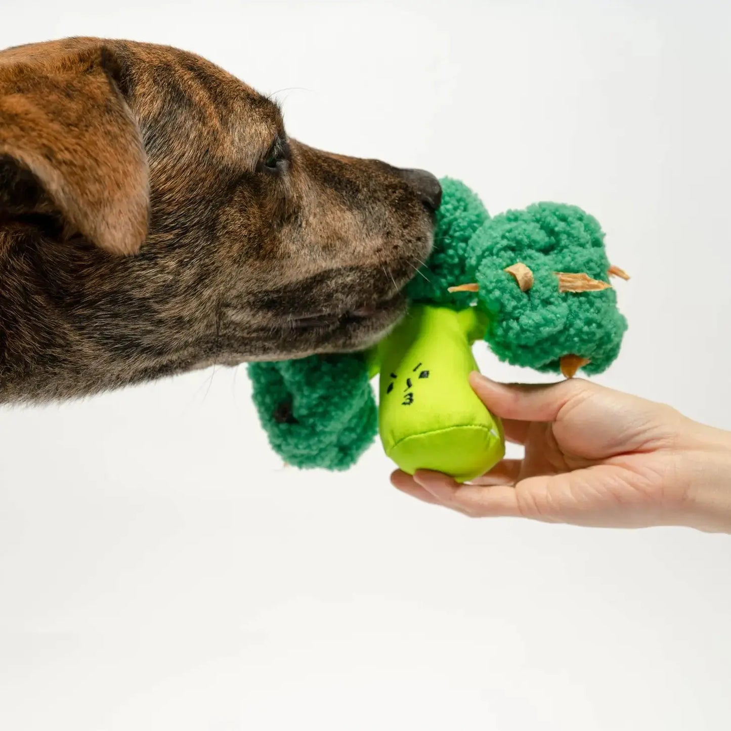 Broccoli Nosework Toy THE FURRYFOLKS