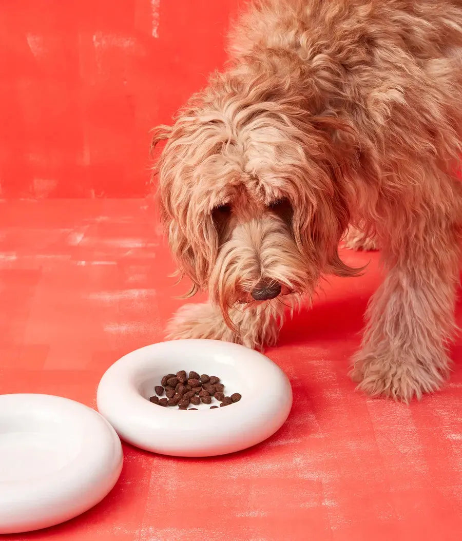 Ceramic Dog Bowl Blank - Fluffy Collective