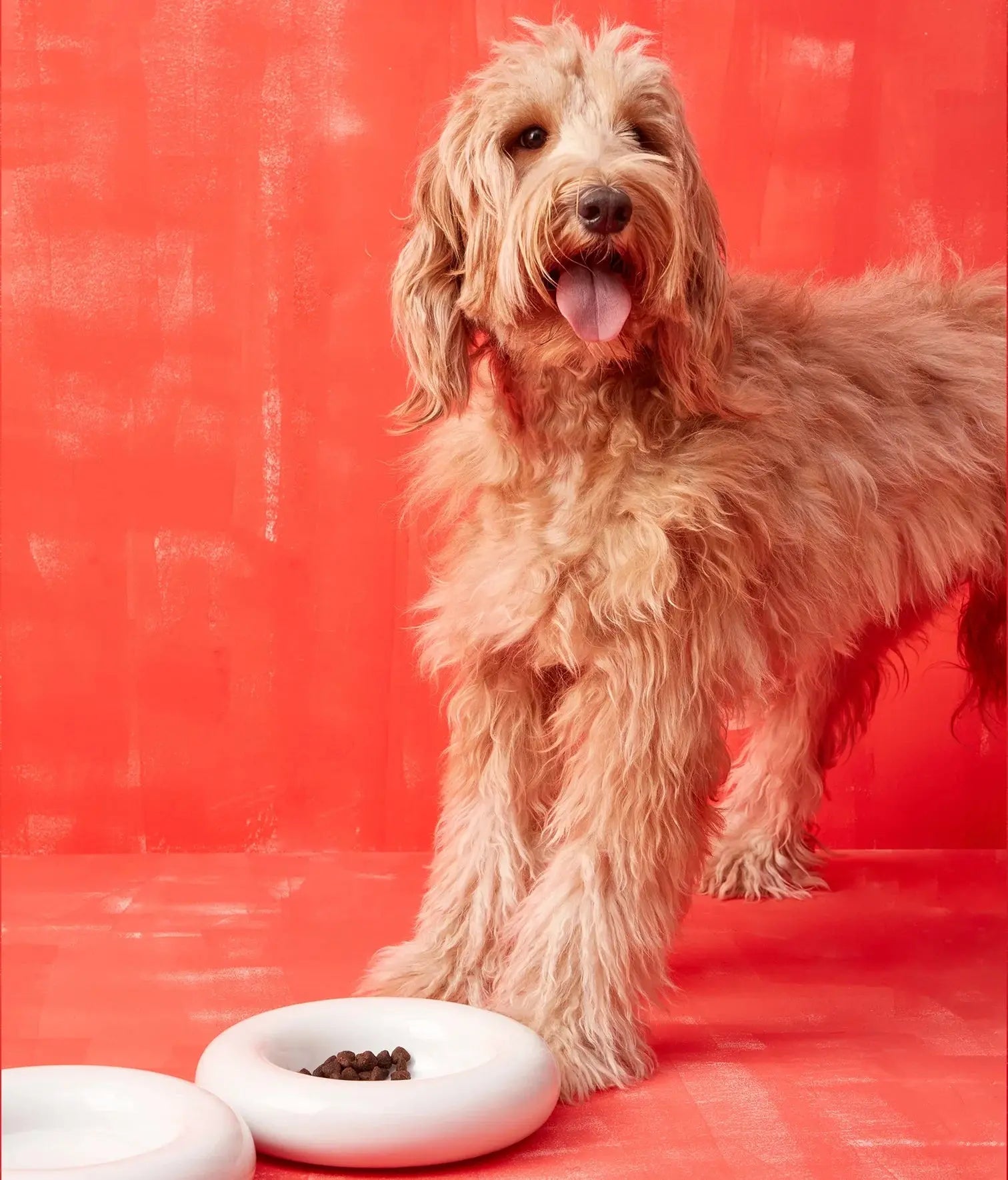 Ceramic Dog Bowl Blank - Fluffy Collective