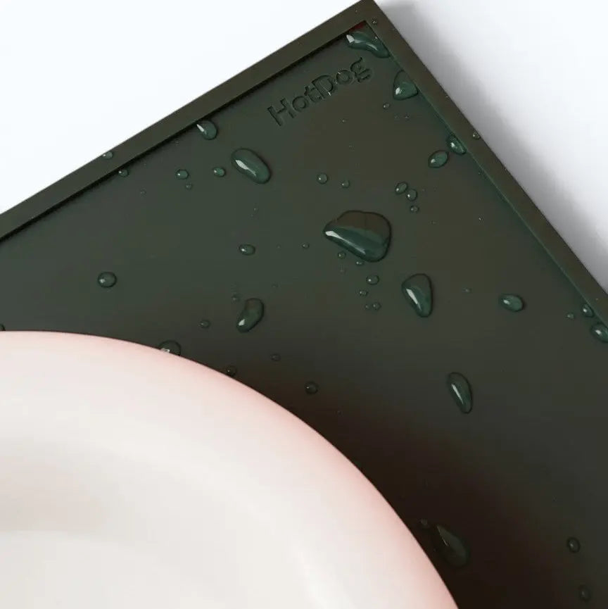 Ceramic Dog Bowl Blank