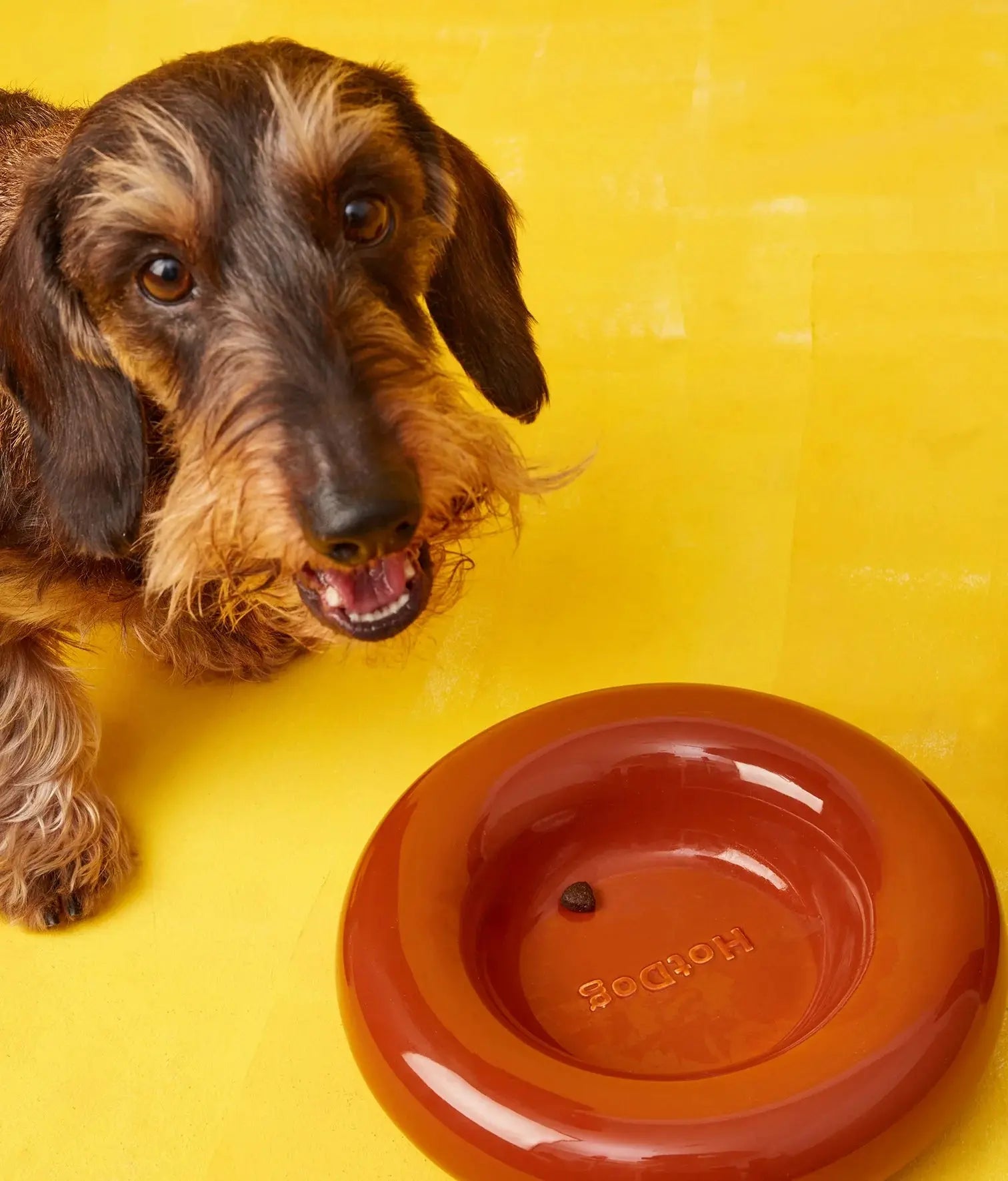 Ceramic Dog Bowl Brown - Fluffy Collective