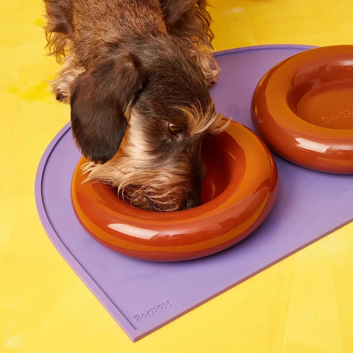 Ceramic Dog Bowl Brown