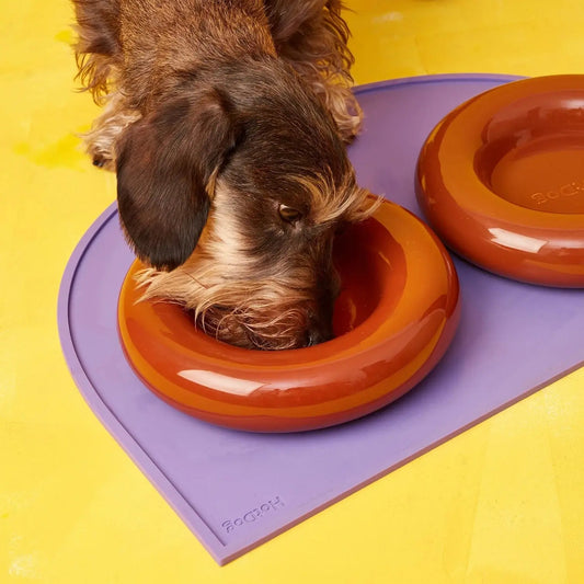 Ceramic Dog Bowl Brown