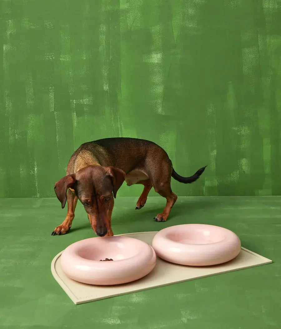 Ceramic Dog Bowl Rose - Fluffy Collective