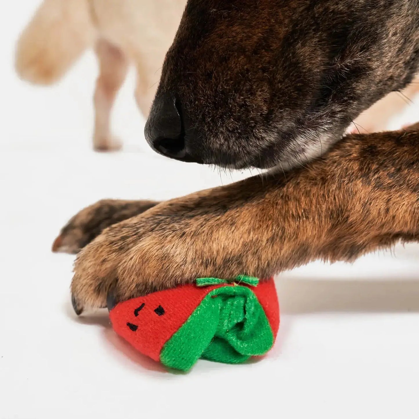 Cherry Tomato Nosework Toy THE FURRYFOLKS