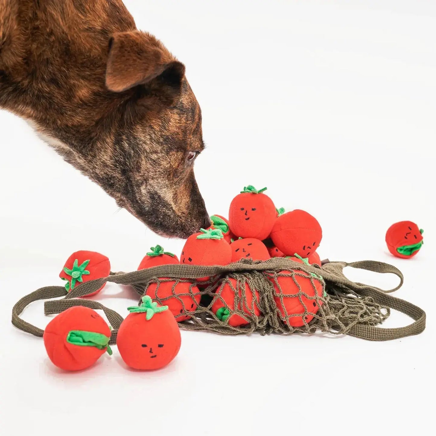 Cherry Tomato Nosework Toy THE FURRYFOLKS