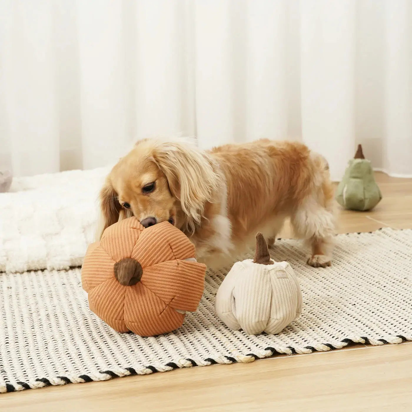 Cinderella Pumpkin Snuffle Toy - Fluffy Collective