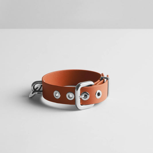 Cinnamon Dog Collar - Fluffy Collective