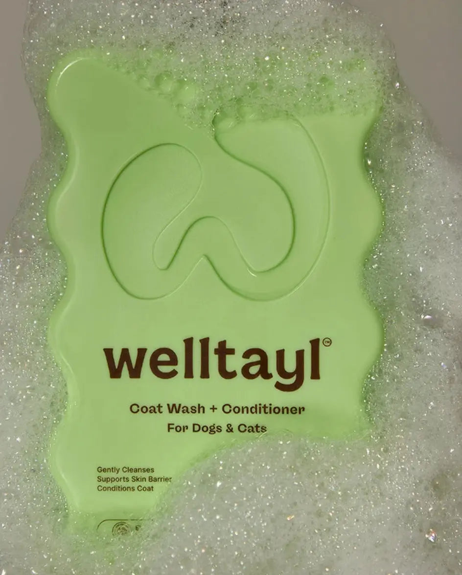 Welltayl Coat Wash + Conditioner – bottle surrounded by bath suds, in-use bath shot