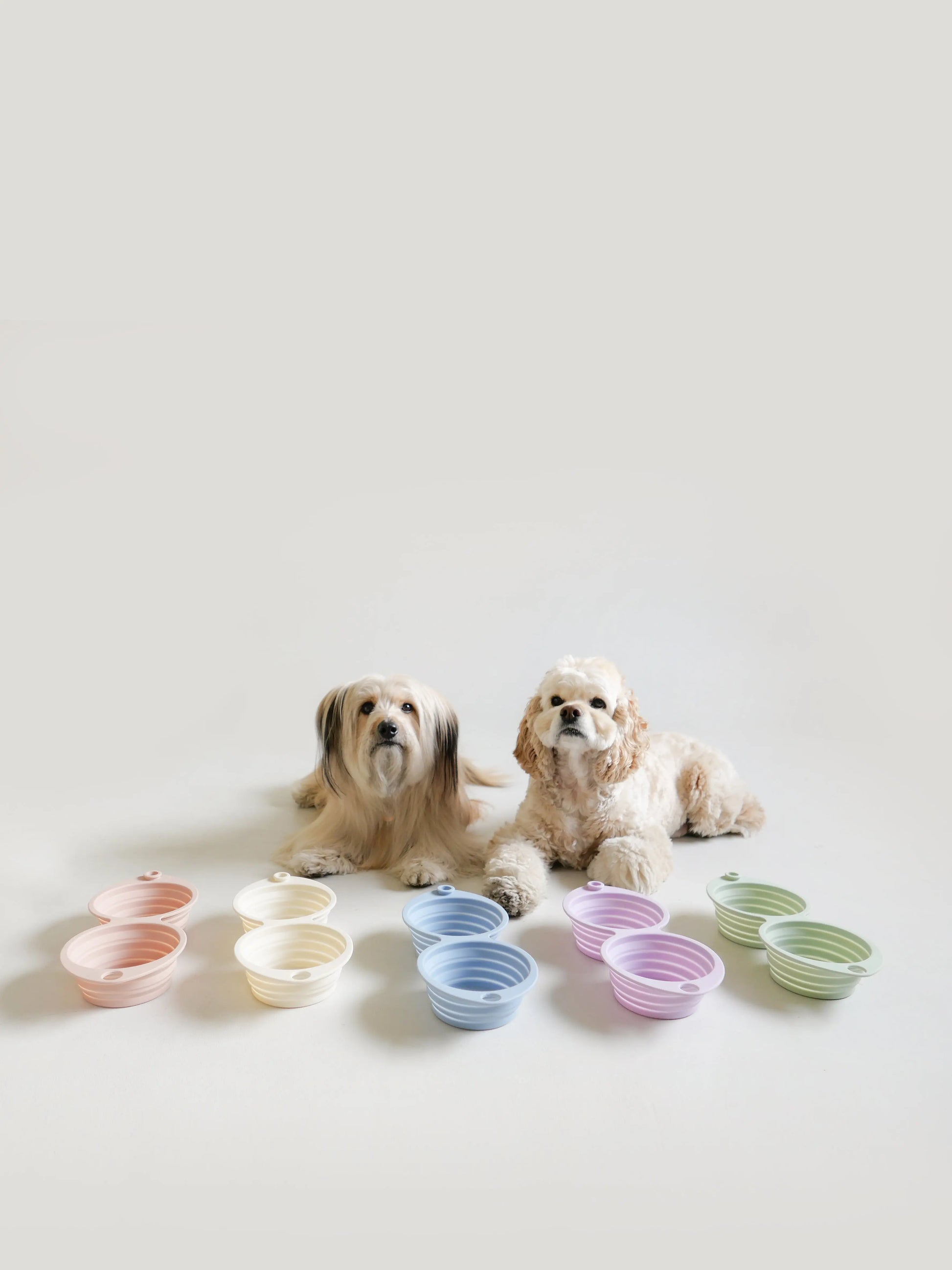 Collapsible Double Bowl Clear - Fluffy Collective