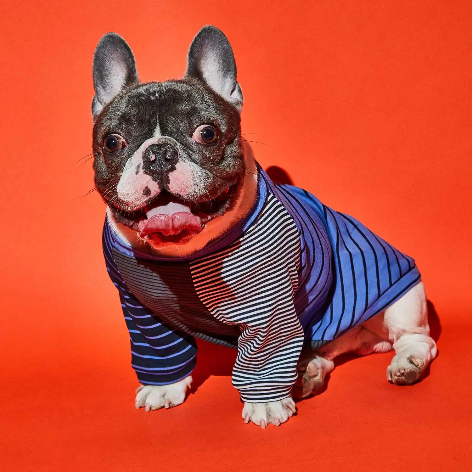 Crazy Striped T-Shirt WARE OF THE DOG