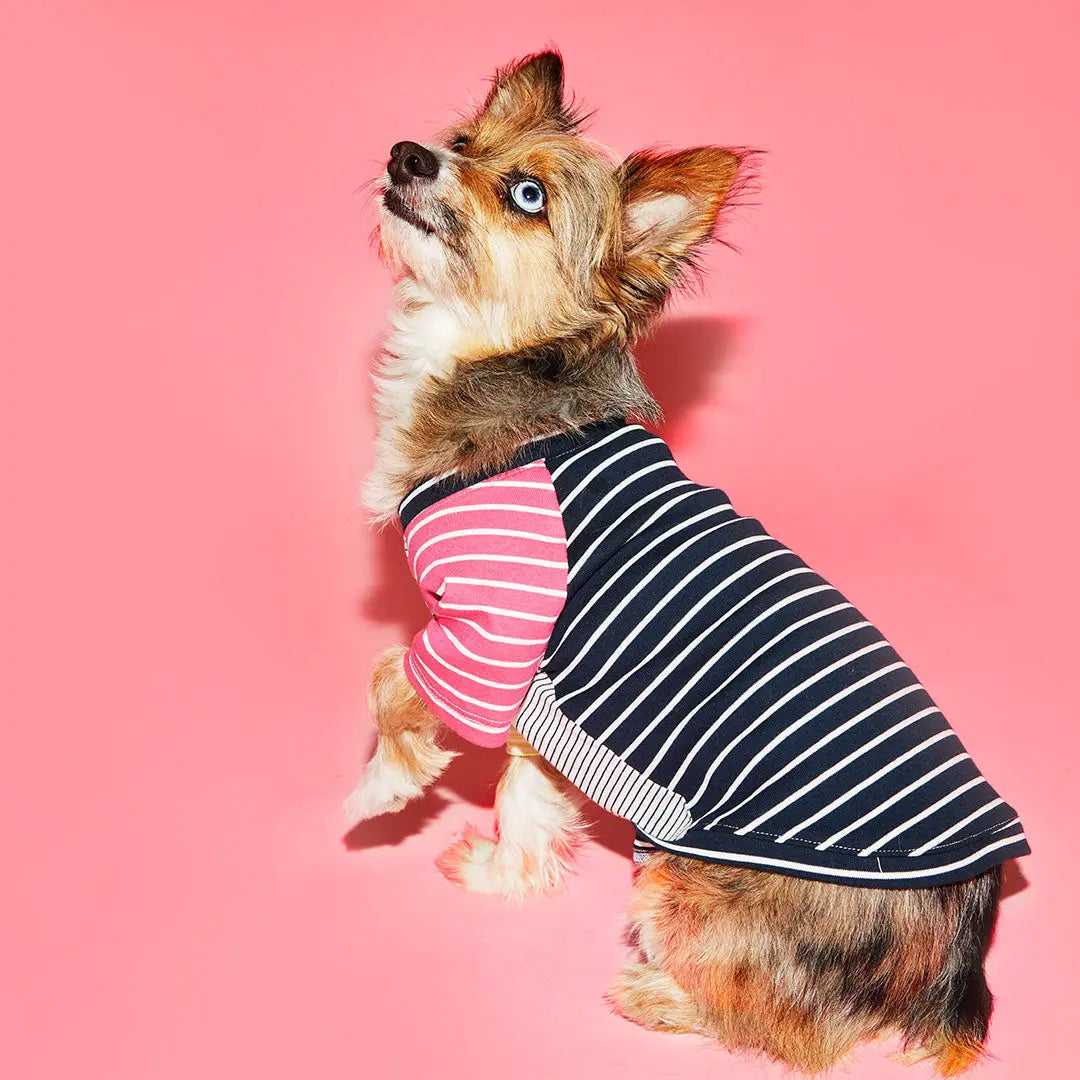 Crazy Striped T-Shirt WARE OF THE DOG