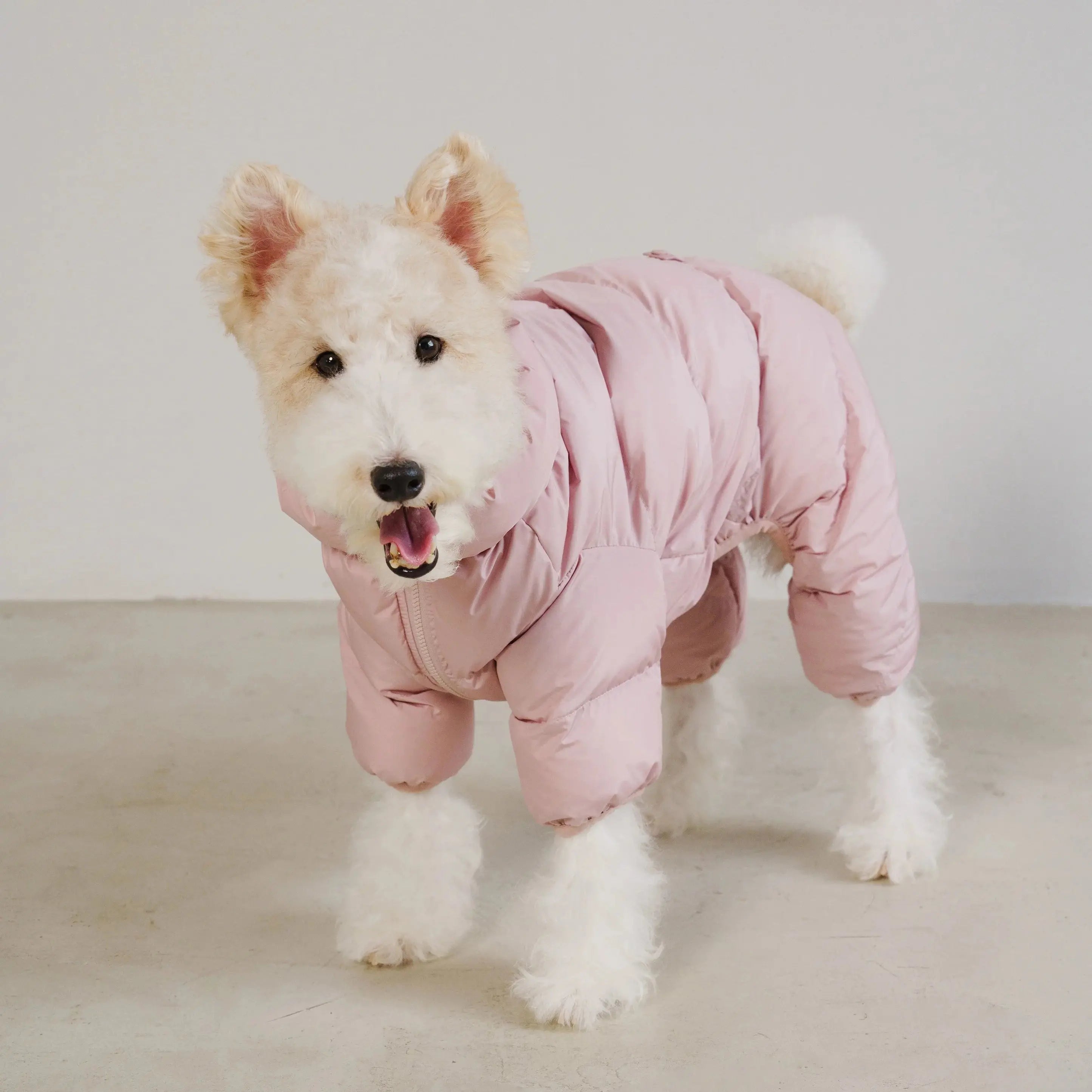 CUSHYCUSHY: Sustainable dog puffer wear. Shop at Fluffy Collective