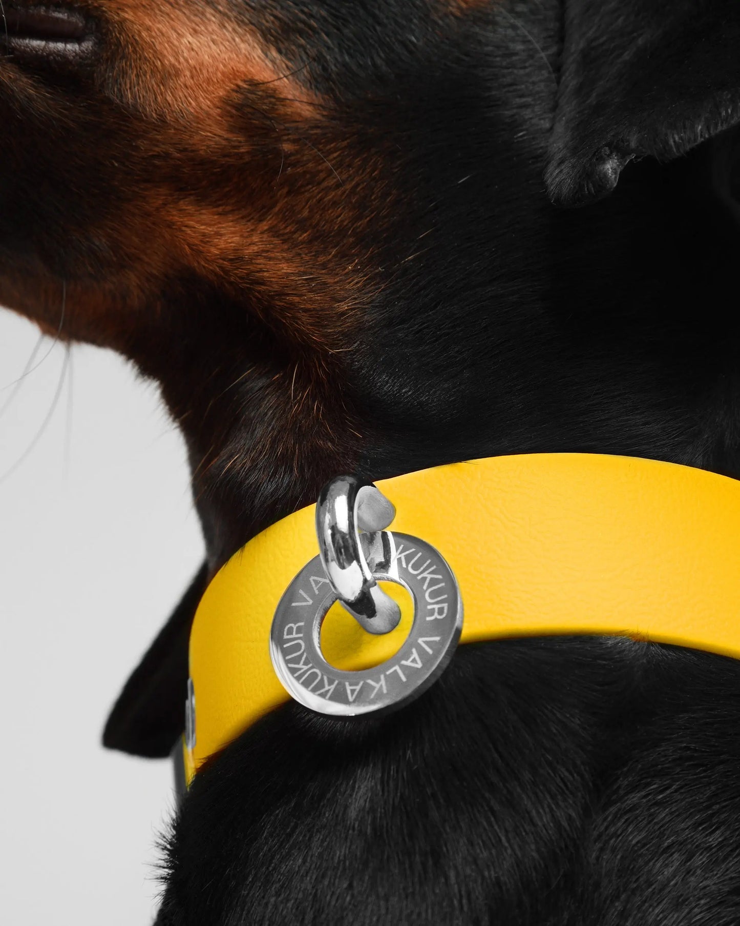 Desert Gold Dog Collar - Fluffy Collective