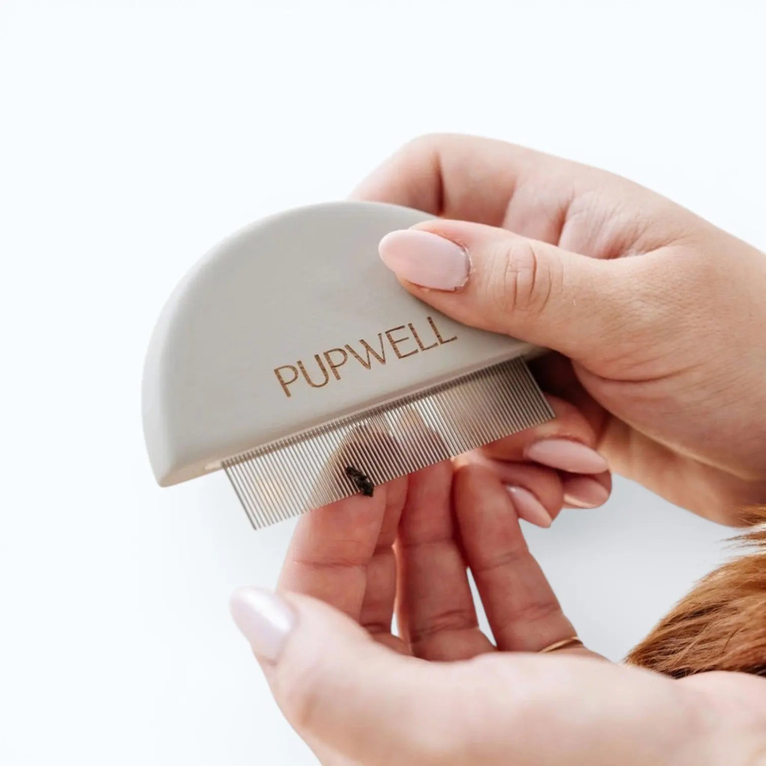 Pupwell Detailer Comb – close-up of comb tines designed for eye goobers and small knots